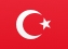 Türkçe